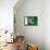 Pakistani Flag-daboost-Framed Stretched Canvas displayed on a wall