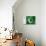 Pakistani Flag-daboost-Art Print displayed on a wall