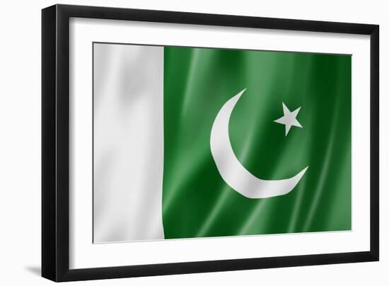 Pakistani Flag-daboost-Framed Art Print