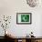 Pakistani Flag-daboost-Framed Art Print displayed on a wall