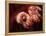 Pakistani Girl Displays Her Hands Painted with Henna Paste-null-Framed Premier Image Canvas