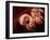 Pakistani Girl Displays Her Hands Painted with Henna Paste-null-Framed Photographic Print