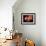 Pakistani Girl Displays Her Hands Painted with Henna Paste-null-Framed Photographic Print displayed on a wall