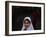 Pakistani Girl Waits for Her Mother to Get Rice During a Donated Food Distribution at the Beri Iman-null-Framed Photographic Print