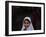 Pakistani Girl Waits for Her Mother to Get Rice During a Donated Food Distribution at the Beri Iman-null-Framed Photographic Print