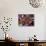 Pakistani Girls Display their Hands Decorated with Mehndi or Henna-null-Photographic Print displayed on a wall