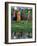 Pakistani Women Walking Home after Collecting Fresh Water on the Outskirts of Islamabad-null-Framed Photographic Print