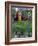 Pakistani Women Walking Home after Collecting Fresh Water on the Outskirts of Islamabad-null-Framed Photographic Print