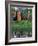 Pakistani Women Walking Home after Collecting Fresh Water on the Outskirts of Islamabad-null-Framed Photographic Print