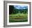 Palace Garden Kassel Germany-null-Framed Art Print