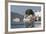 Palace Hotel. Jag Niwas. Lake Pichola. Udaipur Rajasthan. India-Tom Norring-Framed Photographic Print