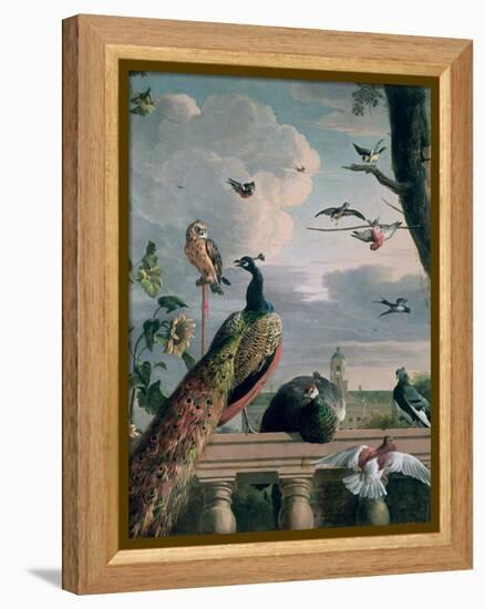 Palace of Amsterdam with Exotic Birds-Melchior de Hondecoeter-Framed Premier Image Canvas