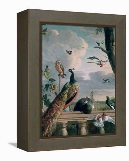 Palace of Amsterdam with Exotic Birds-Melchior de Hondecoeter-Framed Premier Image Canvas