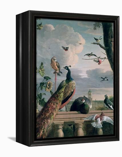 Palace of Amsterdam with Exotic Birds-Melchior de Hondecoeter-Framed Premier Image Canvas