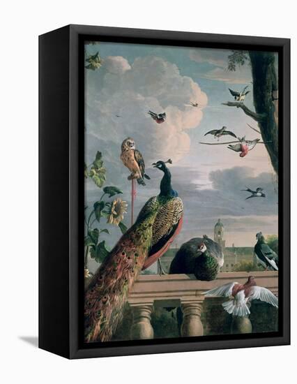 Palace of Amsterdam with Exotic Birds-Melchior de Hondecoeter-Framed Premier Image Canvas