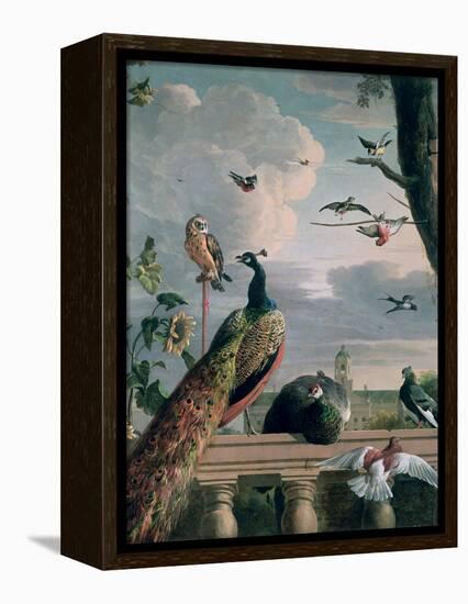 Palace of Amsterdam with Exotic Birds-Melchior de Hondecoeter-Framed Premier Image Canvas