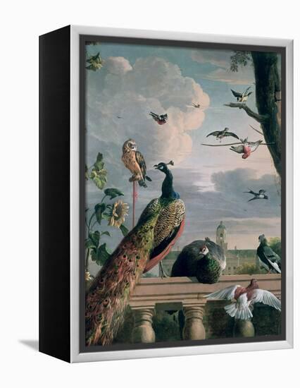 Palace of Amsterdam with Exotic Birds-Melchior de Hondecoeter-Framed Premier Image Canvas