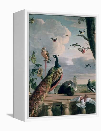 Palace of Amsterdam with Exotic Birds-Melchior de Hondecoeter-Framed Premier Image Canvas