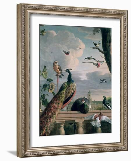 Palace of Amsterdam with Exotic Birds-Melchior de Hondecoeter-Framed Premium Giclee Print