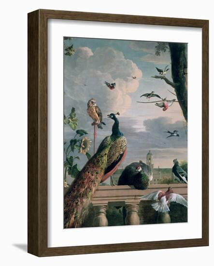 Palace of Amsterdam with Exotic Birds-Melchior de Hondecoeter-Framed Premium Giclee Print