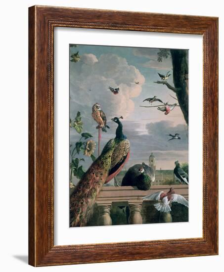 Palace of Amsterdam with Exotic Birds-Melchior de Hondecoeter-Framed Premium Giclee Print