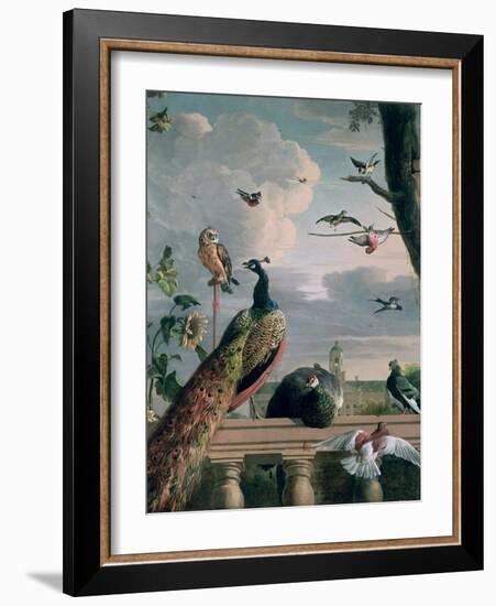 Palace of Amsterdam with Exotic Birds-Melchior de Hondecoeter-Framed Premium Giclee Print