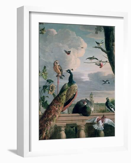 Palace of Amsterdam with Exotic Birds-Melchior de Hondecoeter-Framed Premium Giclee Print