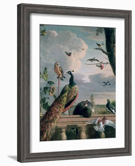 Palace of Amsterdam with Exotic Birds-Melchior de Hondecoeter-Framed Giclee Print