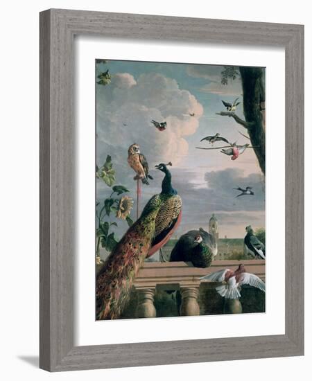 Palace of Amsterdam with Exotic Birds-Melchior de Hondecoeter-Framed Giclee Print