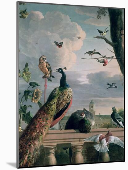 Palace of Amsterdam with Exotic Birds-Melchior de Hondecoeter-Mounted Giclee Print
