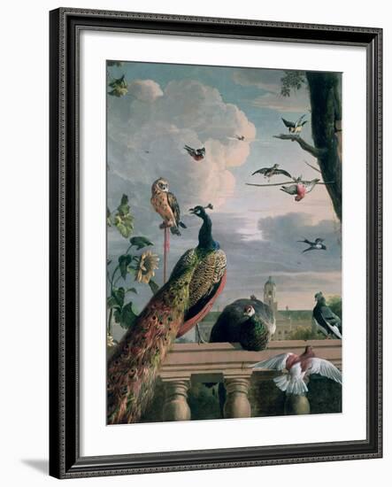 Palace of Amsterdam with Exotic Birds-Melchior de Hondecoeter-Framed Giclee Print