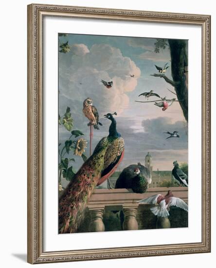 Palace of Amsterdam with Exotic Birds-Melchior de Hondecoeter-Framed Giclee Print