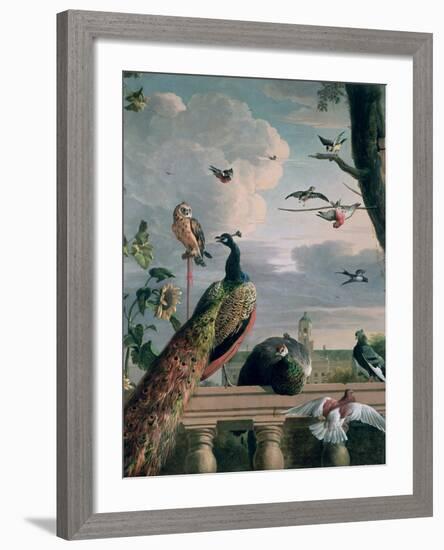 Palace of Amsterdam with Exotic Birds-Melchior de Hondecoeter-Framed Giclee Print