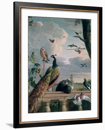 Palace of Amsterdam with Exotic Birds-Melchior de Hondecoeter-Framed Giclee Print