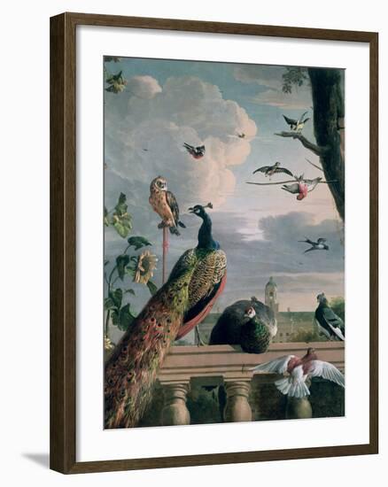 Palace of Amsterdam with Exotic Birds-Melchior de Hondecoeter-Framed Giclee Print