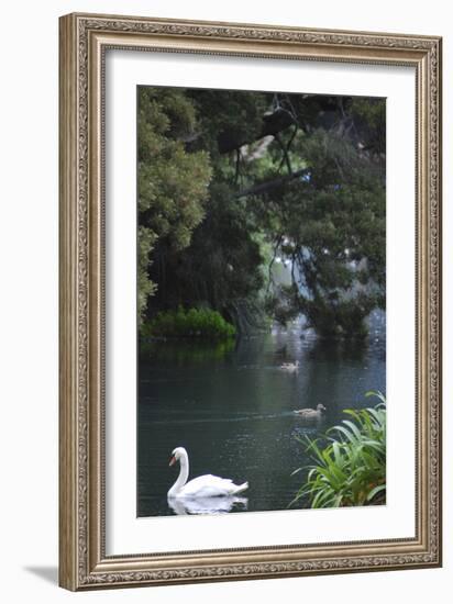 Palace of Fine Arts, Marina District, San Francisco, California-Anna Miller-Framed Photographic Print