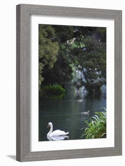 Palace of Fine Arts, Marina District, San Francisco, California-Anna Miller-Framed Photographic Print