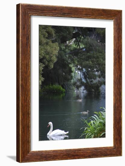 Palace of Fine Arts, Marina District, San Francisco, California-Anna Miller-Framed Photographic Print