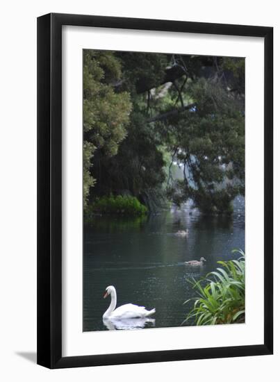 Palace of Fine Arts, Marina District, San Francisco, California-Anna Miller-Framed Photographic Print