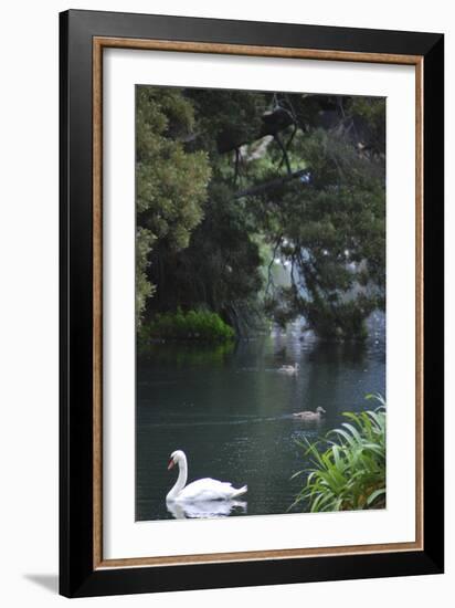 Palace of Fine Arts, Marina District, San Francisco, California-Anna Miller-Framed Photographic Print