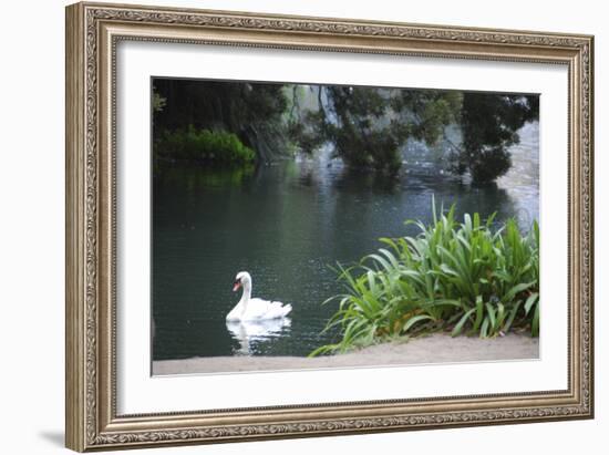 Palace of Fine Arts, Marina District, San Francisco, California-Anna Miller-Framed Photographic Print