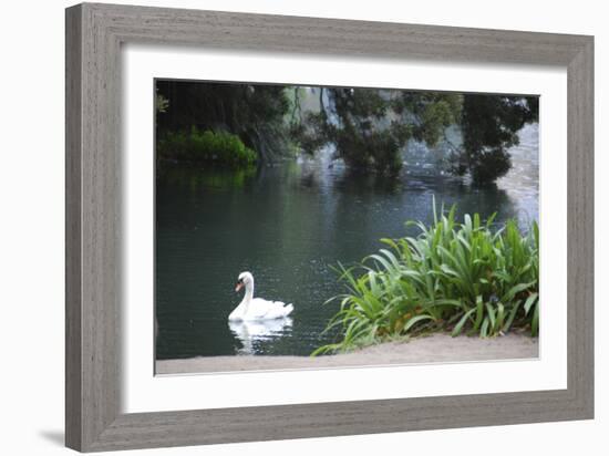 Palace of Fine Arts, Marina District, San Francisco, California-Anna Miller-Framed Photographic Print