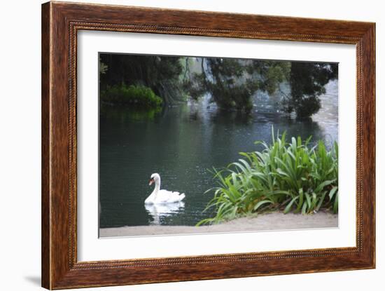 Palace of Fine Arts, Marina District, San Francisco, California-Anna Miller-Framed Photographic Print