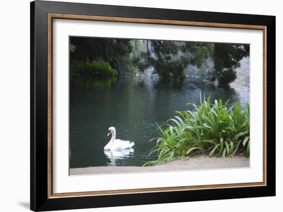 Palace of Fine Arts, Marina District, San Francisco, California-Anna Miller-Framed Photographic Print