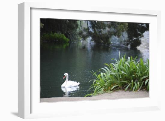 Palace of Fine Arts, Marina District, San Francisco, California-Anna Miller-Framed Photographic Print