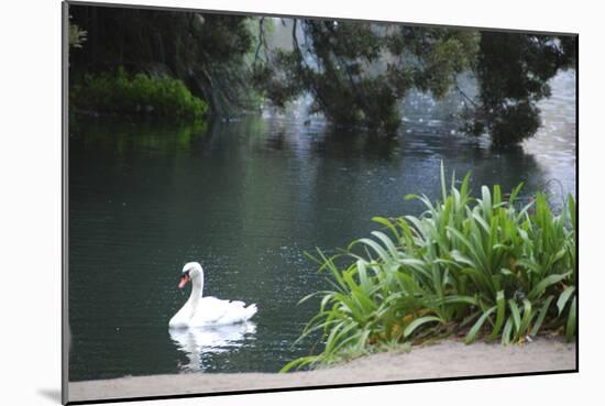 Palace of Fine Arts, Marina District, San Francisco, California-Anna Miller-Mounted Photographic Print