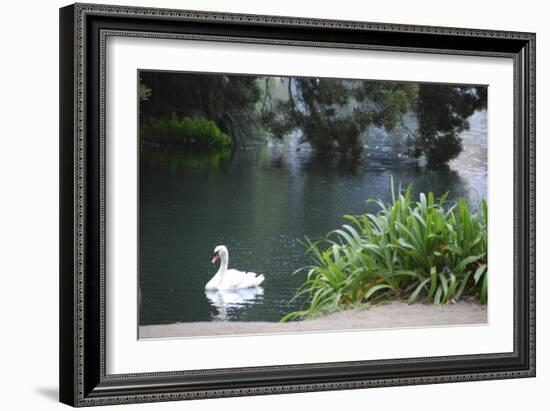 Palace of Fine Arts, Marina District, San Francisco, California-Anna Miller-Framed Photographic Print