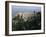 Palace of the Despots and the Plain of Sparta Below, Mistra, Greece-Adrian Neville-Framed Photographic Print