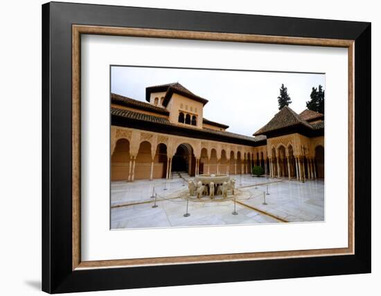 Palace of the Lions (Palacio De Los Leones), the Alhambra, Granada, Andalucia, Spain-Carlo Morucchio-Framed Photographic Print