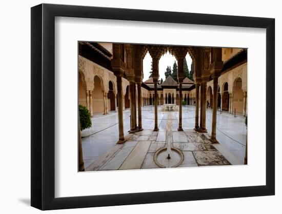Palace of the Lions (Palacio De Los Leones), the Alhambra, Granada, Andalucia, Spain-Carlo Morucchio-Framed Photographic Print